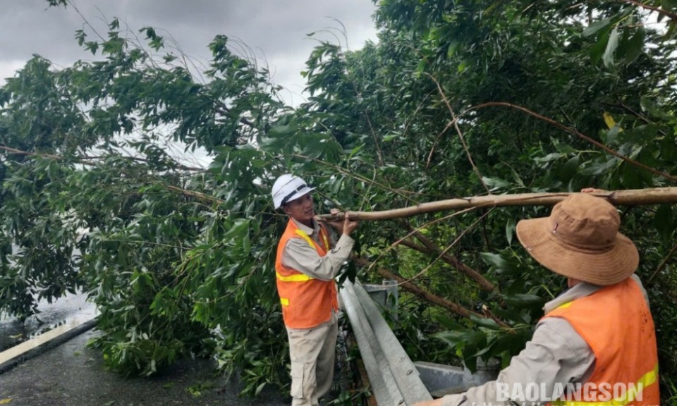 Khắc phục kịp thời cây xanh gãy, đổ trên các tuyến đường giao thông do cơn bão số 3 gây ra