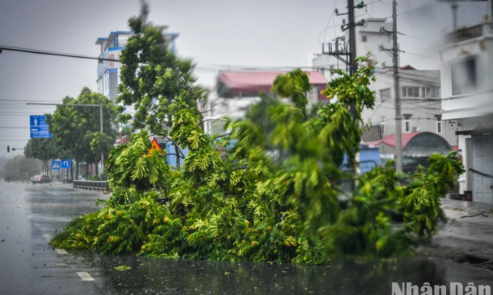 [Ảnh] Những thiệt hại ban đầu do ảnh hưởng bão số 3 tại Cẩm Phả