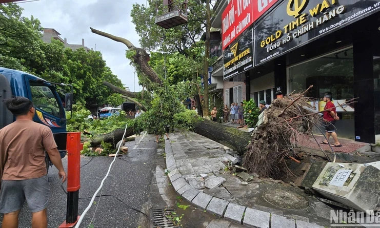 Bắc Ninh: 40 nhà cấp 4, công trình phụ bị tốc mái, hơn 1.500ha lúa, hoa màu bị ngập đổ