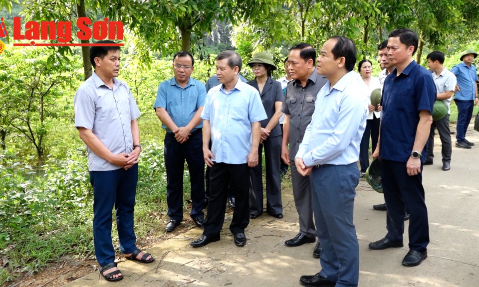 Chánh Tòa án nhân dân tối cao kiểm tra công tác khắc phục hậu quả cơn bão số 3 tại Lạng Sơn