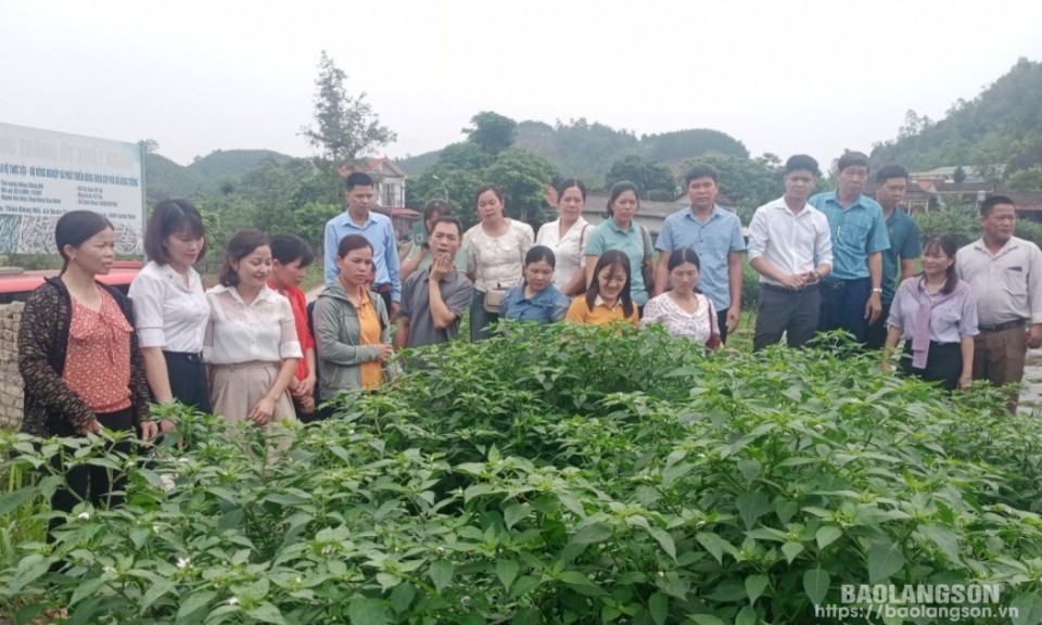 Mô hình tổ khuyến nông cộng đồng  Góp phần xây dựng nông thôn mới