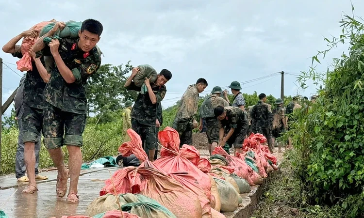 Cùng suy ngẫm: Sáng mãi tinh thần Bộ đội Cụ Hồ