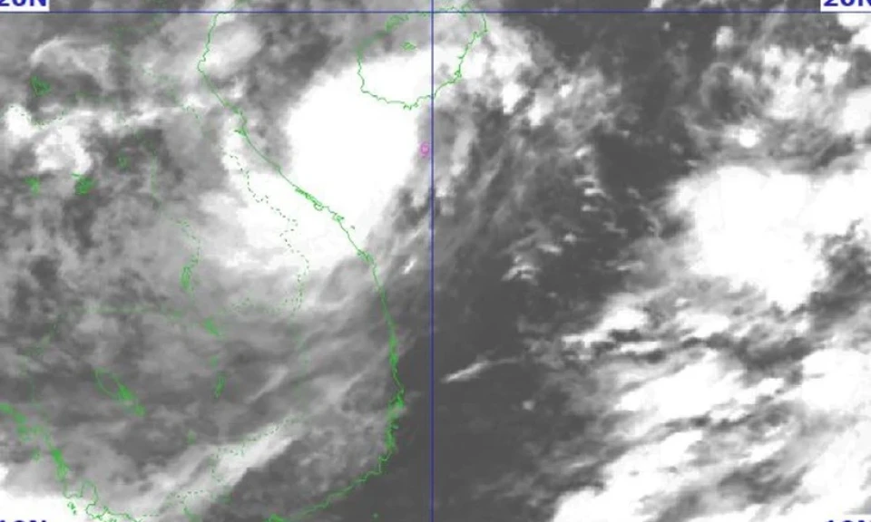 Sáng sớm nay 19/9, áp thấp nhiệt đới đã mạnh lên thành bão số 4