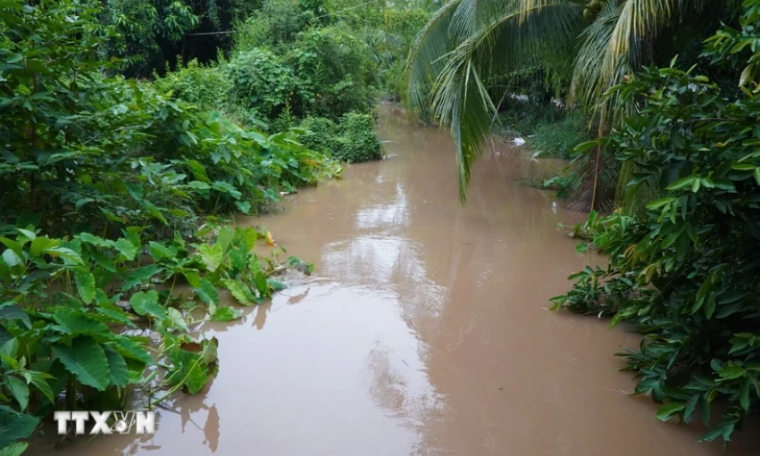 Các tỉnh, thành khu vực phía Nam chủ động các phương án ứng phó với thiên tai