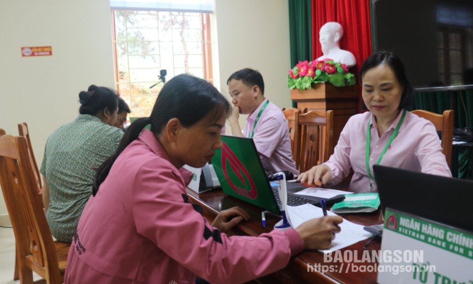 Chi nhánh Ngân hàng Chính sách xã hội tỉnh tạm dừng thu lãi đối với hộ vay bị thiệt hại do bão, lũ   