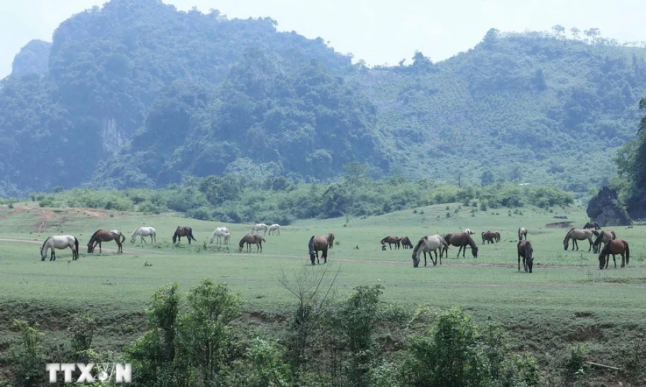 Lạng Sơn: Nhiều hoạt động hấp dẫn trong Lễ hội Thảo nguyên Đồng Lâm