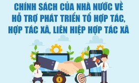 Chính sách hỗ trợ phát triển hợp tác xã