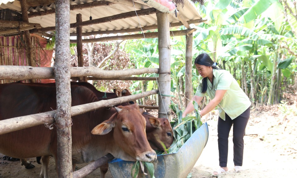 Đa dạng hóa sinh kế, phát triển mô hình giảm nghèo: Góp phần để người dân Văn Lãng vươn lên