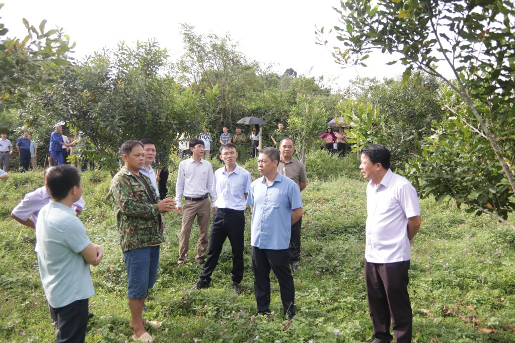 Đoàn công tác kiểm tra thực tế mô hình trồng cây mắc ca tại xã An Sơn, huyện Văn Quan