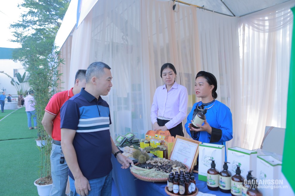 Người dân tham quan các gian hàng trưng bày tại Ngày “Phụ nữ khởi nghiệp sáng tạo và chuyển đổi xanh” 