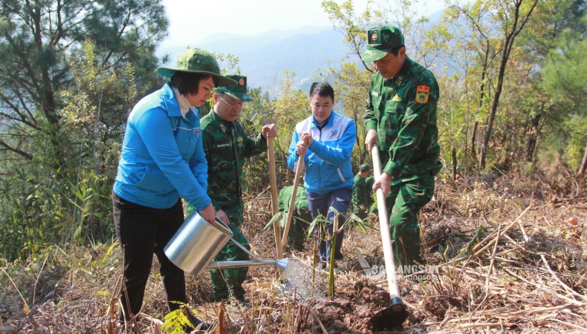 Lãnh đạo Hội LHTN tỉnh trồng tre bát độ tại khu vực đường biên giới tại xã Xuất Lễ, Cao Lộc                                                                                                                                                            Ảnh: HOÀNG VƯƠNG