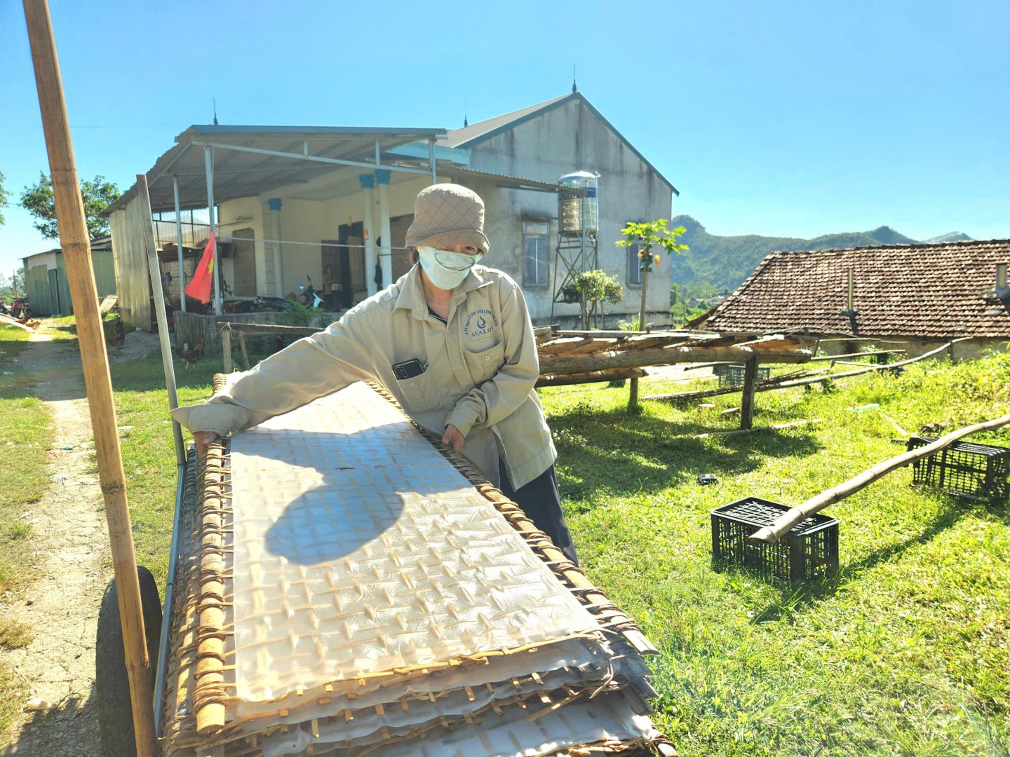 Bánh sau khi tráng sẽ được mang phơi trực tiếp dưới ánh nắng khoảng 3 đến 4 tiếng đồng hồ