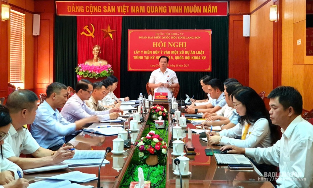 Đồng chí Hoàng Văn Nghiệm, Phó Bí thư Thường trực Tỉnh ủy, Trưởng Đoàn ĐBQH tỉnh phát biểu kết luận hội nghị