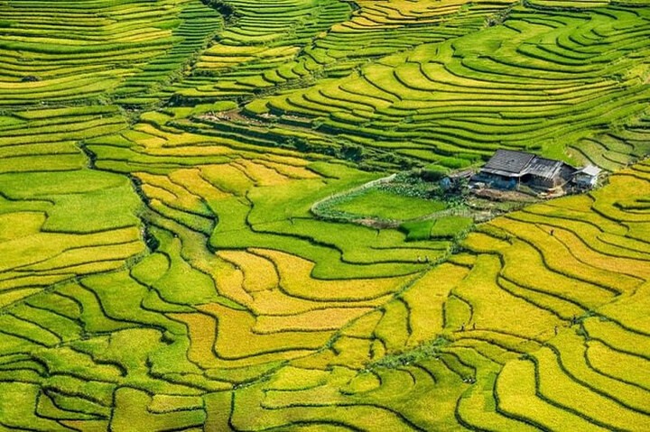 Hẳn những ai mới ghé thăm Sa Pa lần đầu đều phải ngỡ ngàng trước khung cảnh những thửa ruộng bậc thang.