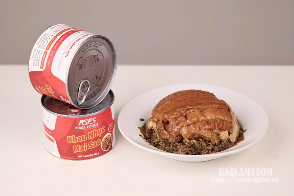 Phóng sự truyền hình