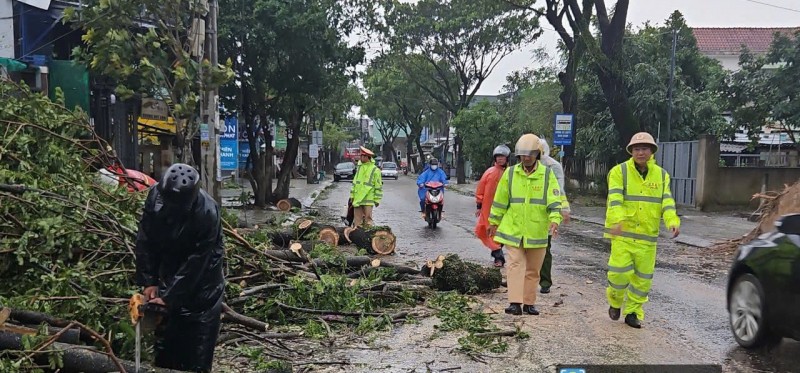 CSGT Công an TP Đà Nẵng kết hợp cùng Công an huyện Hòa Vang tiến hành dọn dẹp cây xanh ngã đổ trên đường.