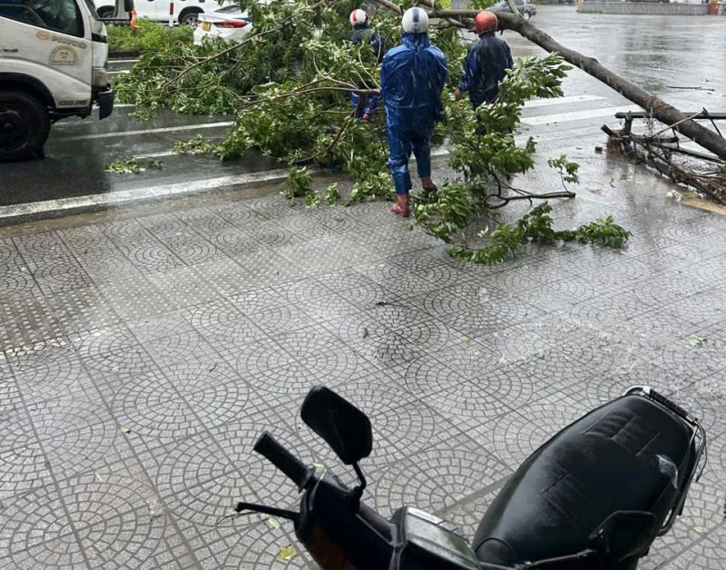 Cây xanh gãy đổ trên đường Lê Quý Đôn, TP Huế.