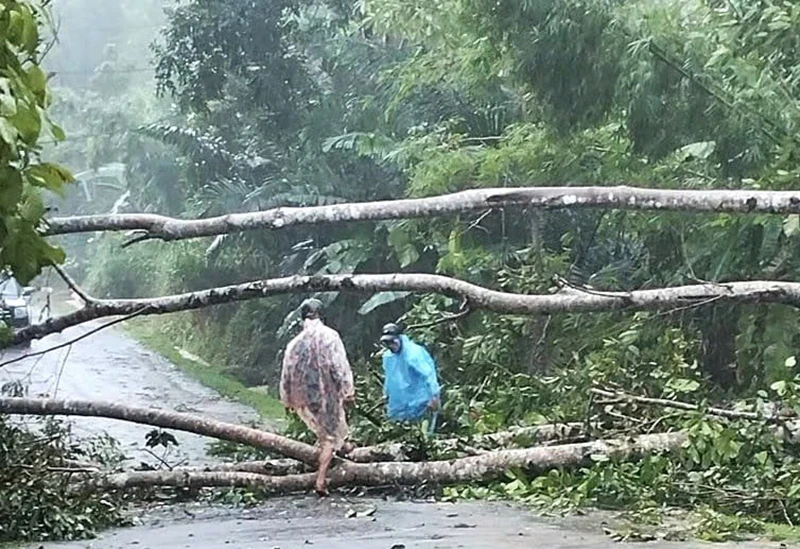 Mưa bão làm cây cối ngã đổ gây ách tắc giao thông tại huyện Tây Giang.