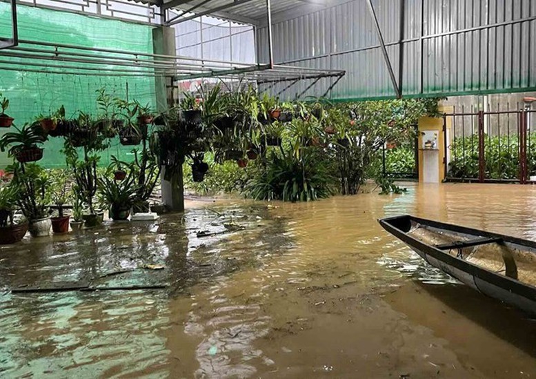 Hàng ngàn ngôi nhà tai Quảng Bình bị ngập