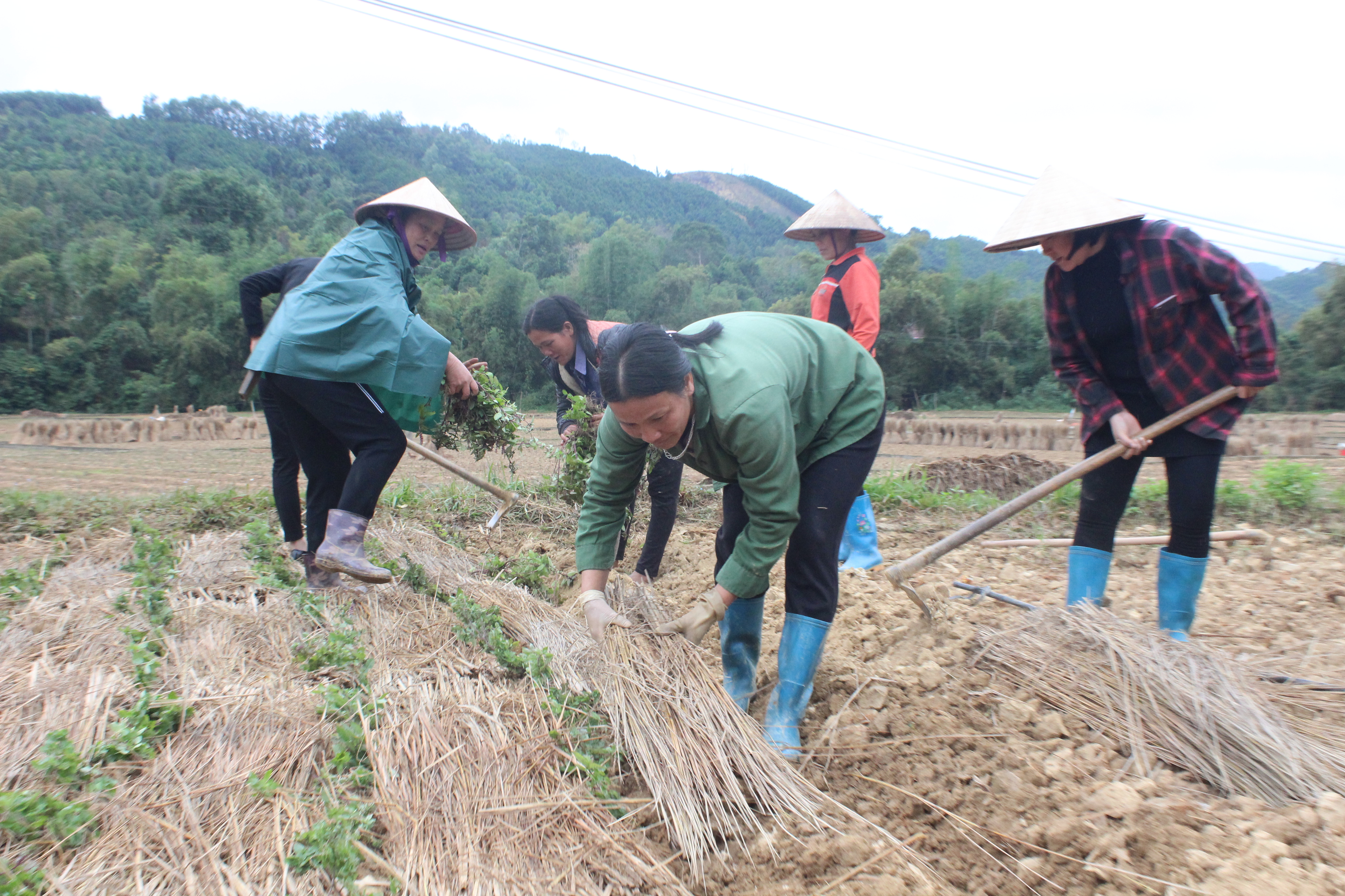 Ảnh với chú thích