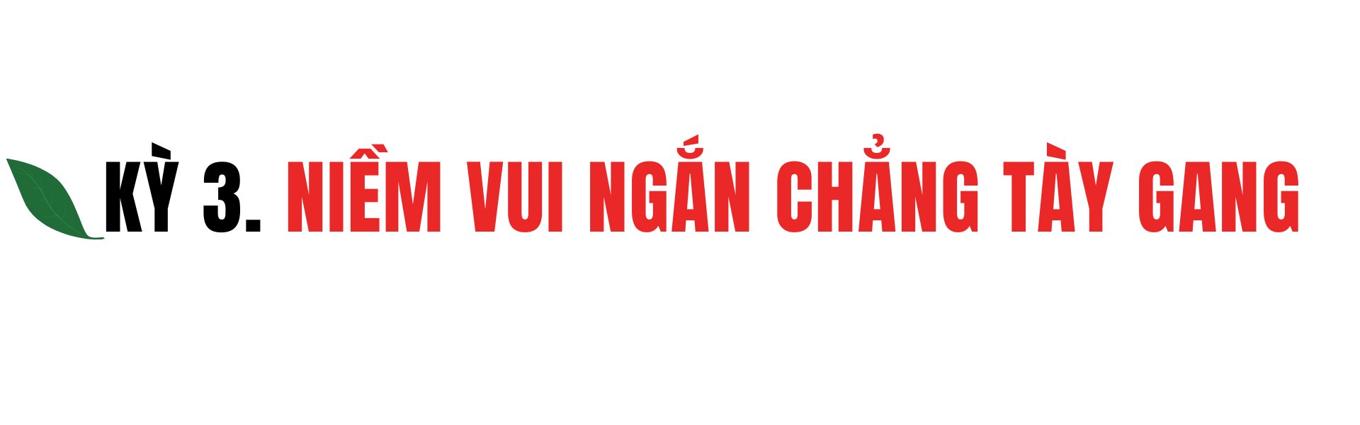 Ảnh co giãn vừa văn bản