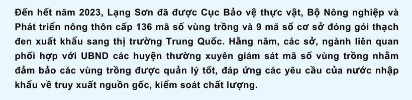 Ảnh co giãn vừa văn bản