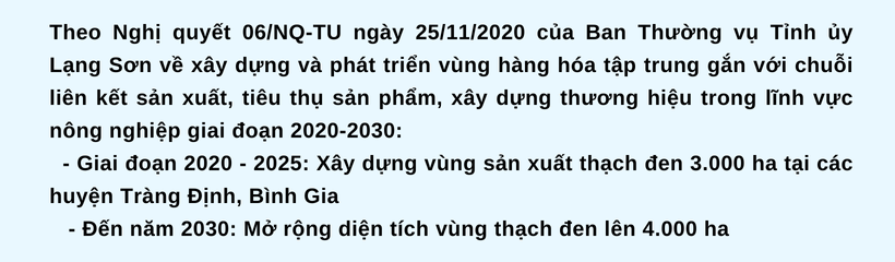 Ảnh co giãn vừa văn bản