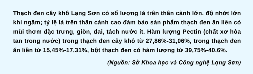 Ảnh co giãn vừa văn bản