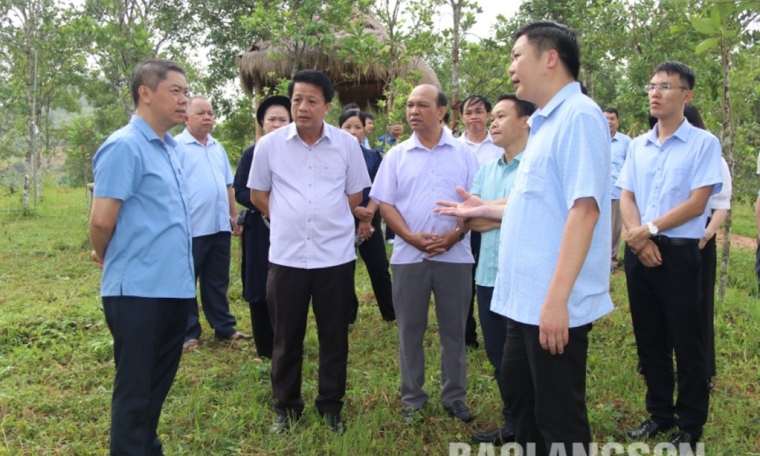 Lãnh đạo UBND tỉnh kiểm tra chương trình mục tiêu quốc gia tại huyện Văn Quan