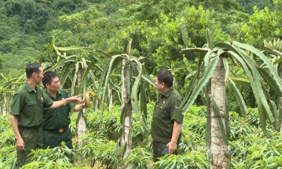 Lan toả sâu rộng phong trào “Cựu chiến binh gương mẫu”