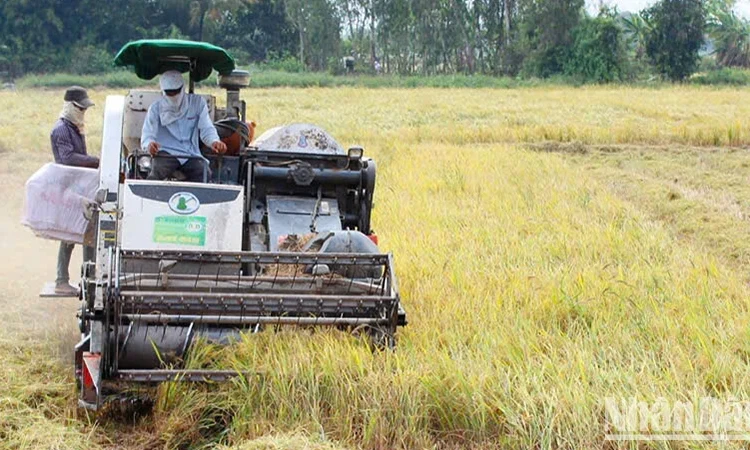 Giữ vững tăng trưởng nông nghiệp