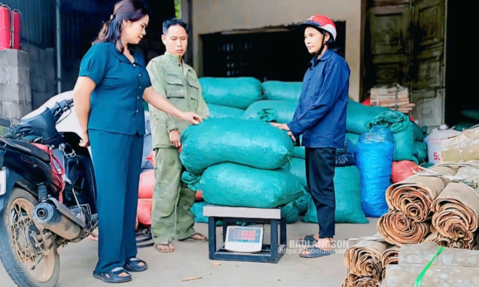 Hợp tác xã sản xuất, kinh doanh tổng hợp Bảo Long Vũ Sơn: Điểm sáng tiêu thụ nông, lâm sản cho người dân