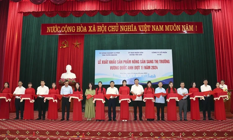 Chuyến hàng nông sản OCOP đầu tiên của tỉnh Tuyên Quang xuất khẩu sang Vương Quốc Anh