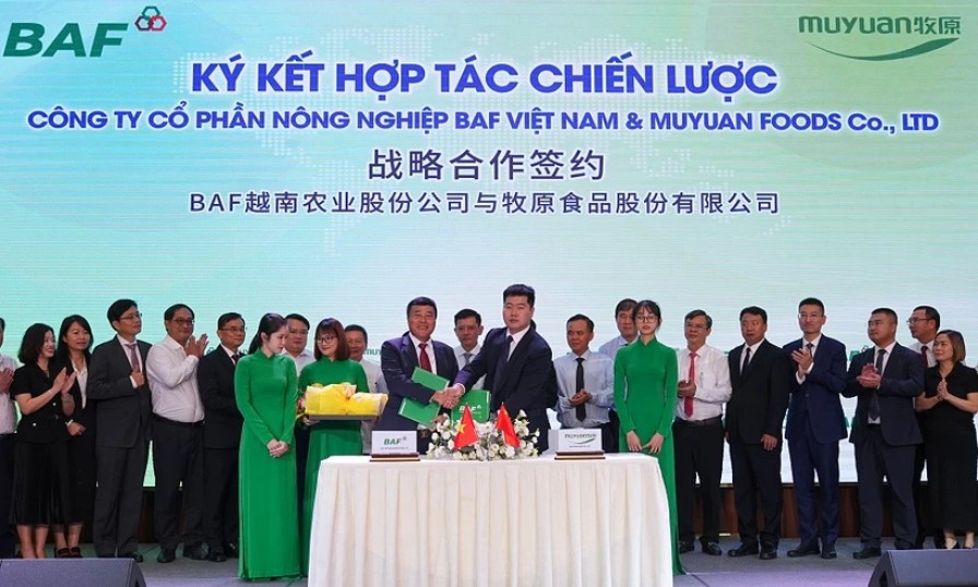 BAF partners with China’s Muyuan in high-tech livestock farming