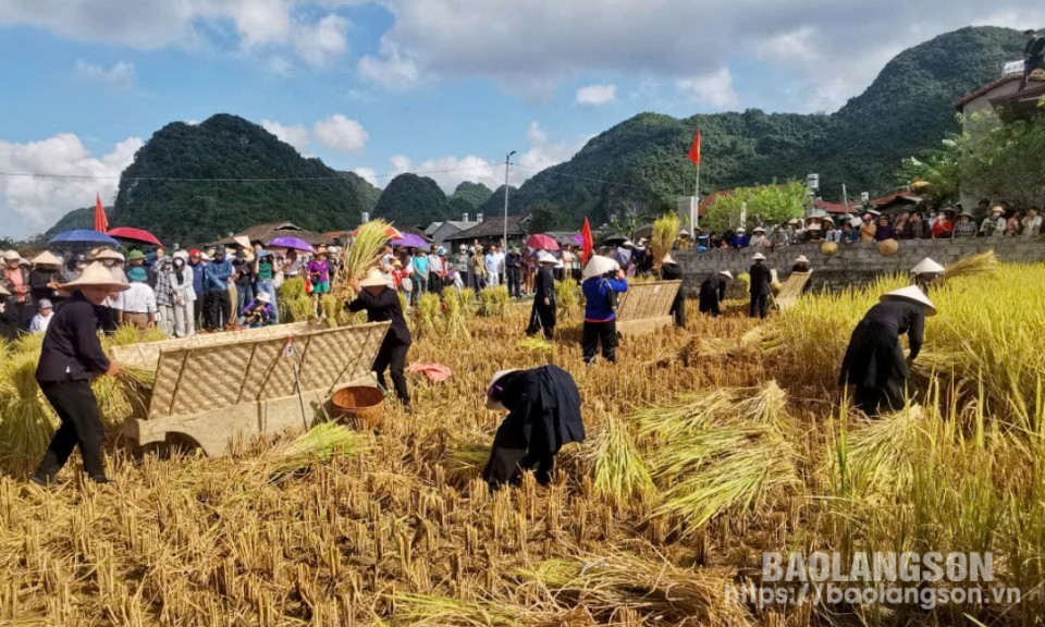 Cuộc thi gặt lúa bằng công cụ thô sơ