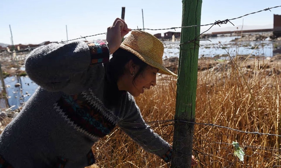 Những “nữ chiến binh xanh” tại Bolivia