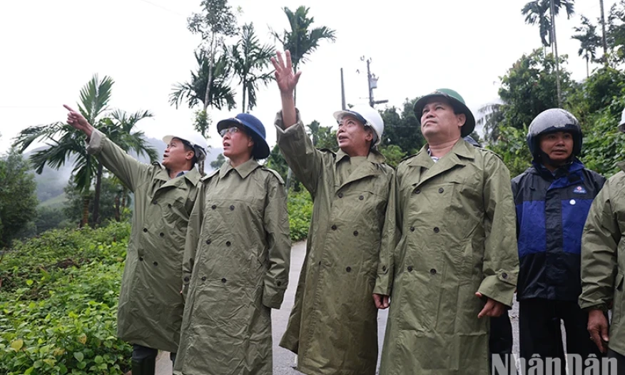 Bí thư Tỉnh ủy Quảng Ngãi kiểm tra công tác ứng phó sạt lở núi