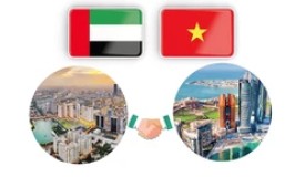 Vietnam–United Arab Emirates cooperation and friendship