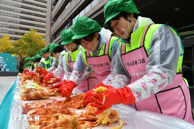 Làm kim chi ở Seoul, Hàn Quốc. (Ảnh: Yonhap/TTXVN)