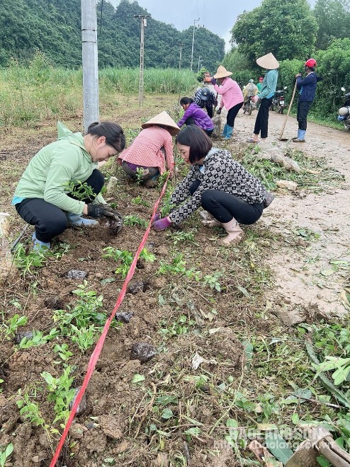 Hội viên phụ nữ xã Chí Minh, huyện Tràng Định trồng hoa chuỗi ngọc góp phần thực hiện tiêu chí trong cuộc vận động "Gia đình 5 không, 3 sạch"