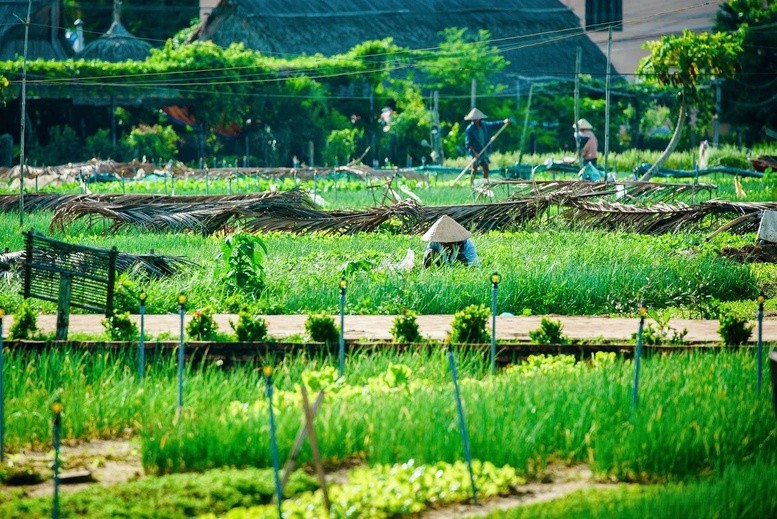 Làng rau Trà Quế (, TP. Hội An, tỉnh Quảng Nam) công nhận là Làng Du lịch tốt nhất của UN Tourism năm 2024