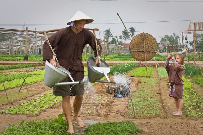 Du khách quốc tế tham gia làm nông nghiệp cùng người dân thành phố Hội An, tỉnh Quảng Nam