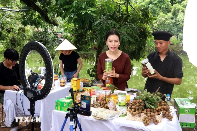 Các nhà sáng tạo nội dung giúp bà con nông dân tiêu nhãn lồng và nông sản OCOP trên TikTok. (Ảnh: Đinh Văn Nhiều/TTXVN)