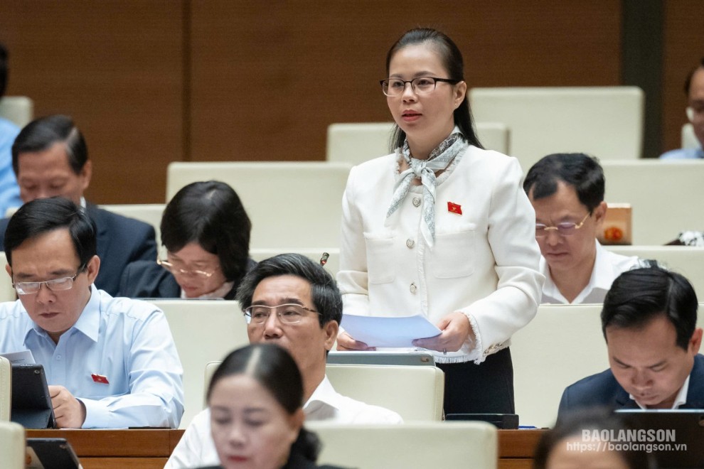 Đại biểu Chu Thị Hồng Thái, Đoàn ĐBQH tỉnh góp ý kiến vào Luật Việc làm (sửa đổi)