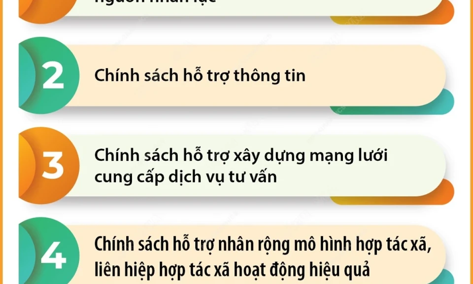 9 chính sách hỗ trợ phát triển hợp tác xã từ 1/11/2024