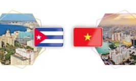 Vietnam-Cuba traditional solidarity, special friendship