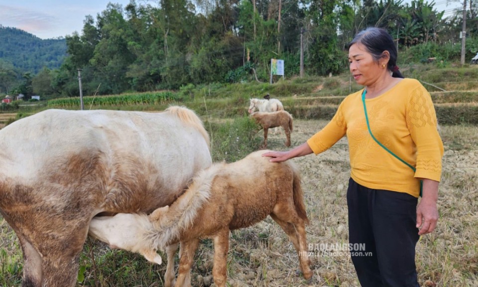 Bằng Hữu: Phát huy lợi thế, giảm nghèo bền vững