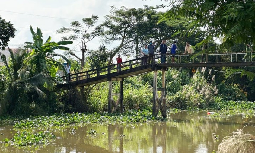 Truy bắt cá sấu nổi trên sông Bằng Lăng, Long An