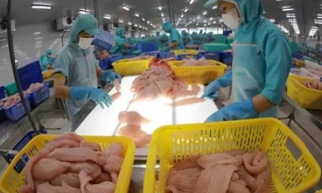 Tra fish export could hit 2 billion USD in 2024: Workshop