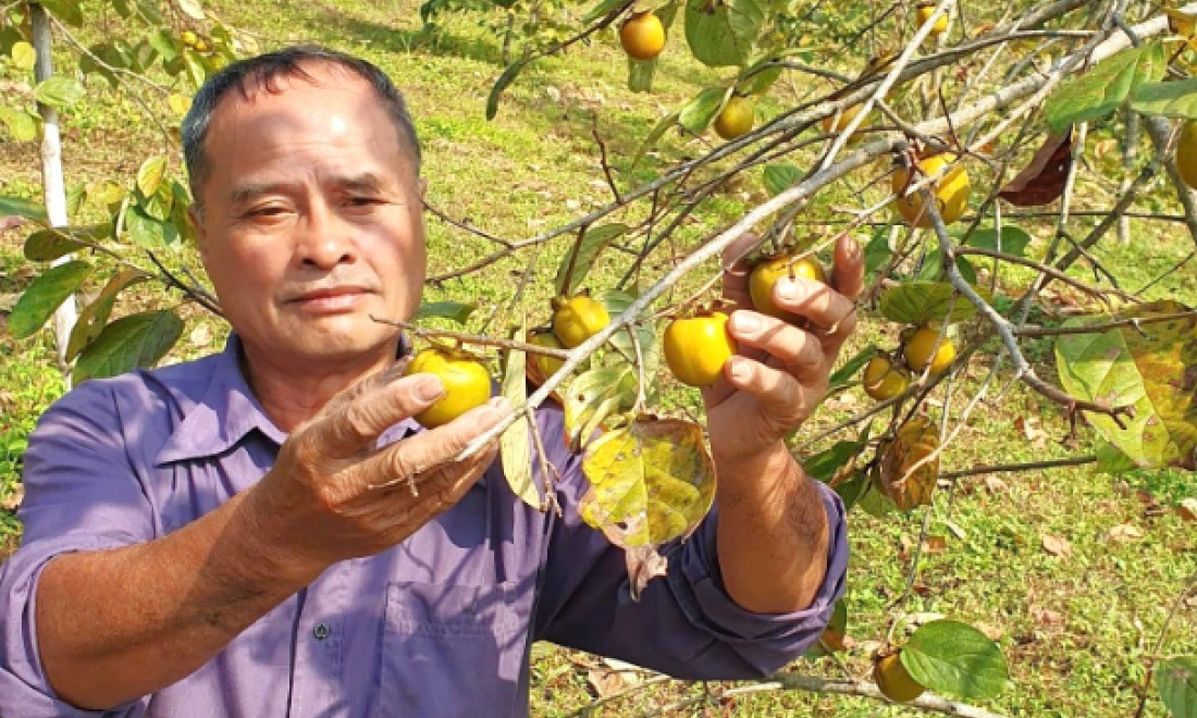 Những nông dân tiêu biểu trong sản xuất, kinh doanh giỏi